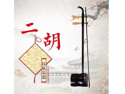 招聘益阳二胡家教老师